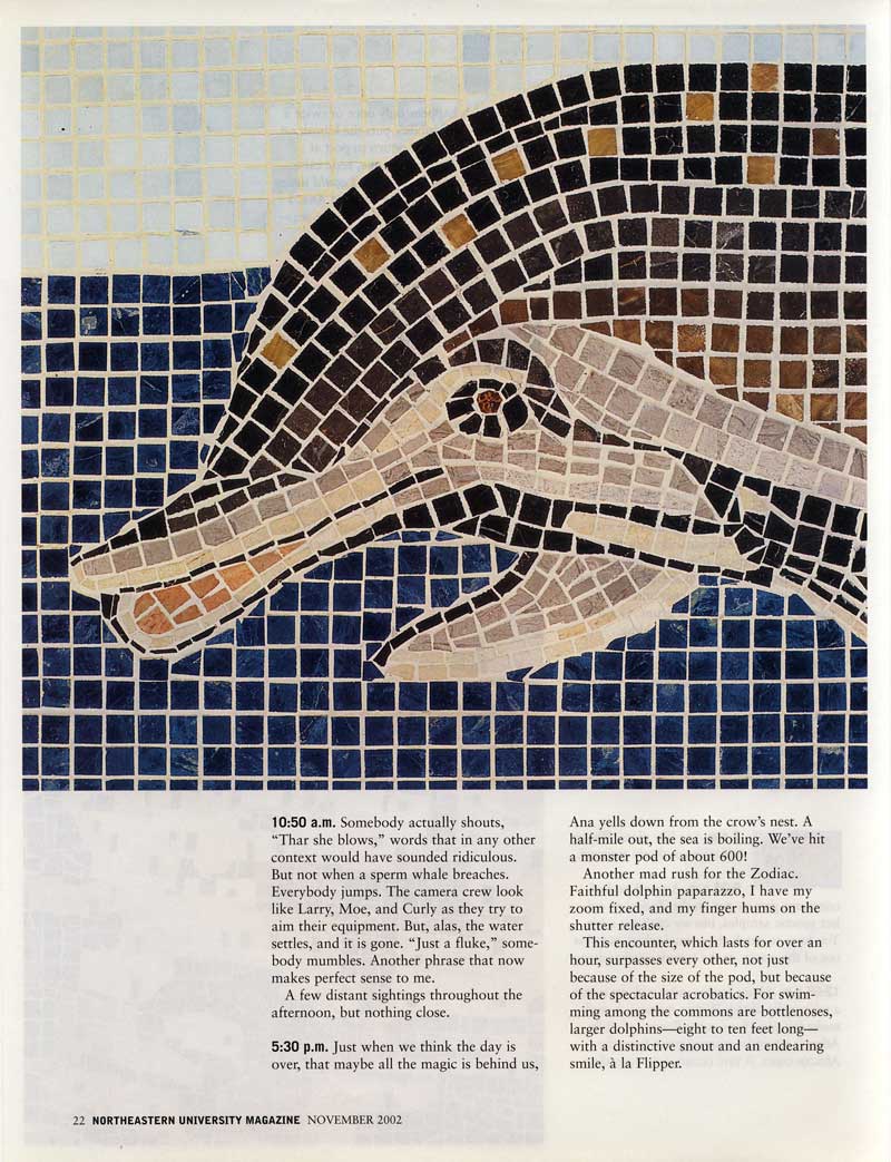 "The Days of the Dolphins," 4 marble mosaics, Northeastern University Magazine, Vol.  28, No.