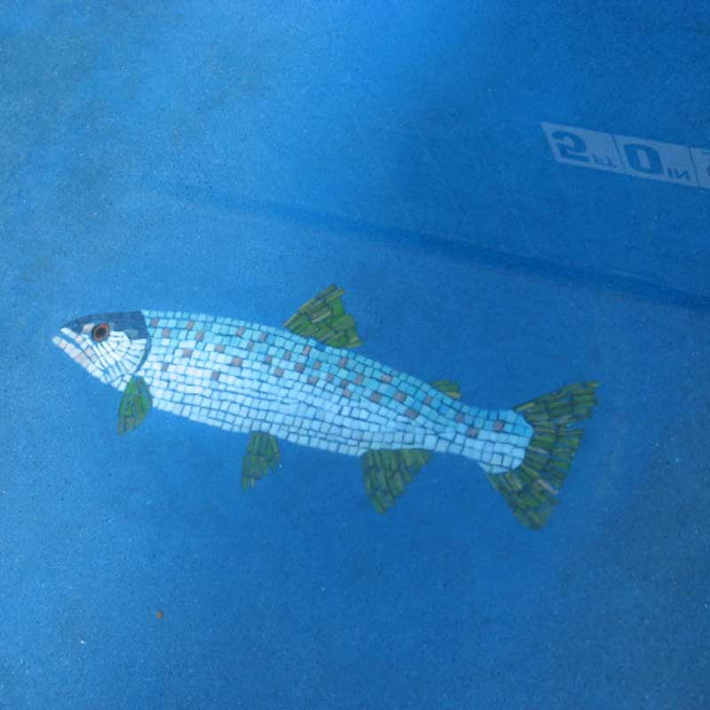 Glass Mosaic Fish for Limelight Lodge Commission