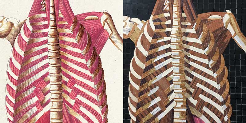 Side by side comparison of the mosaic and the original etching of Table 38 of Eustachi’s Tabulae anatomicae.