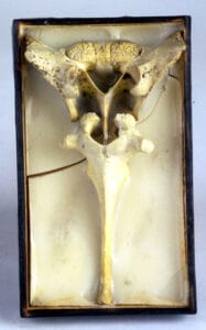 Study for Reliquary Wall, 1999