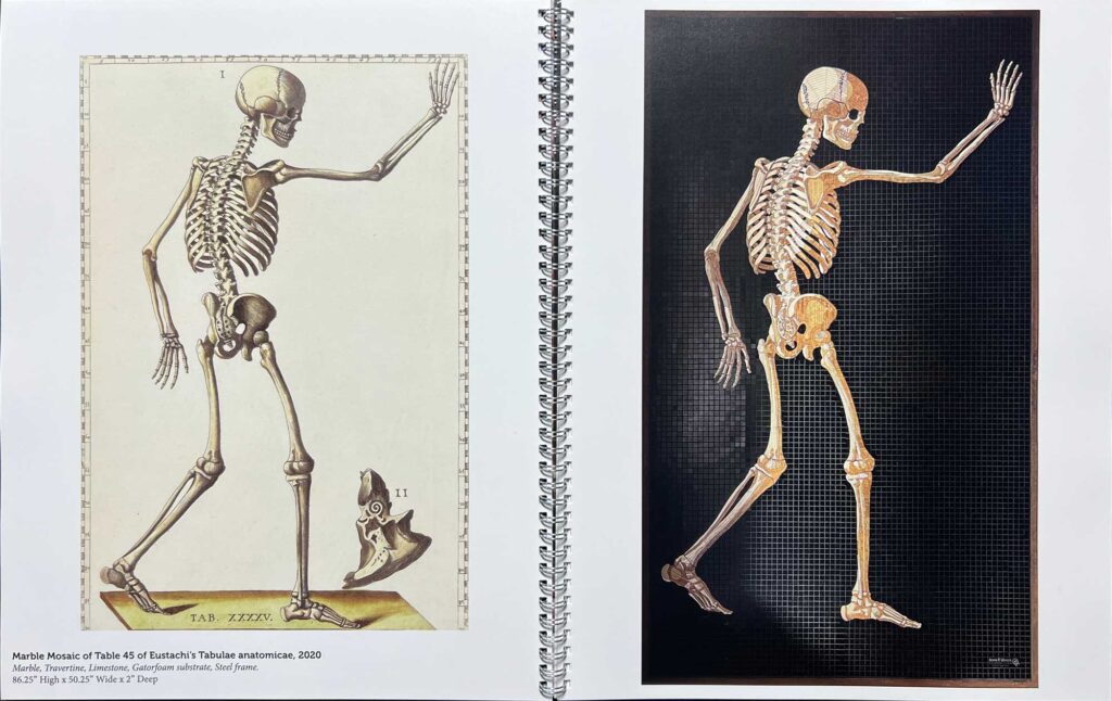 Spread from Anatomy Set in Stone showing a marble mosaic printed alongside the original Eustachi engraving at comparable scale, wire-bound for flat comparison
