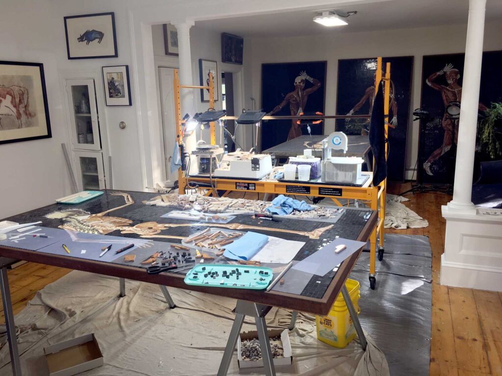 Marble mosaic in progress, Anatomy Set in Stone