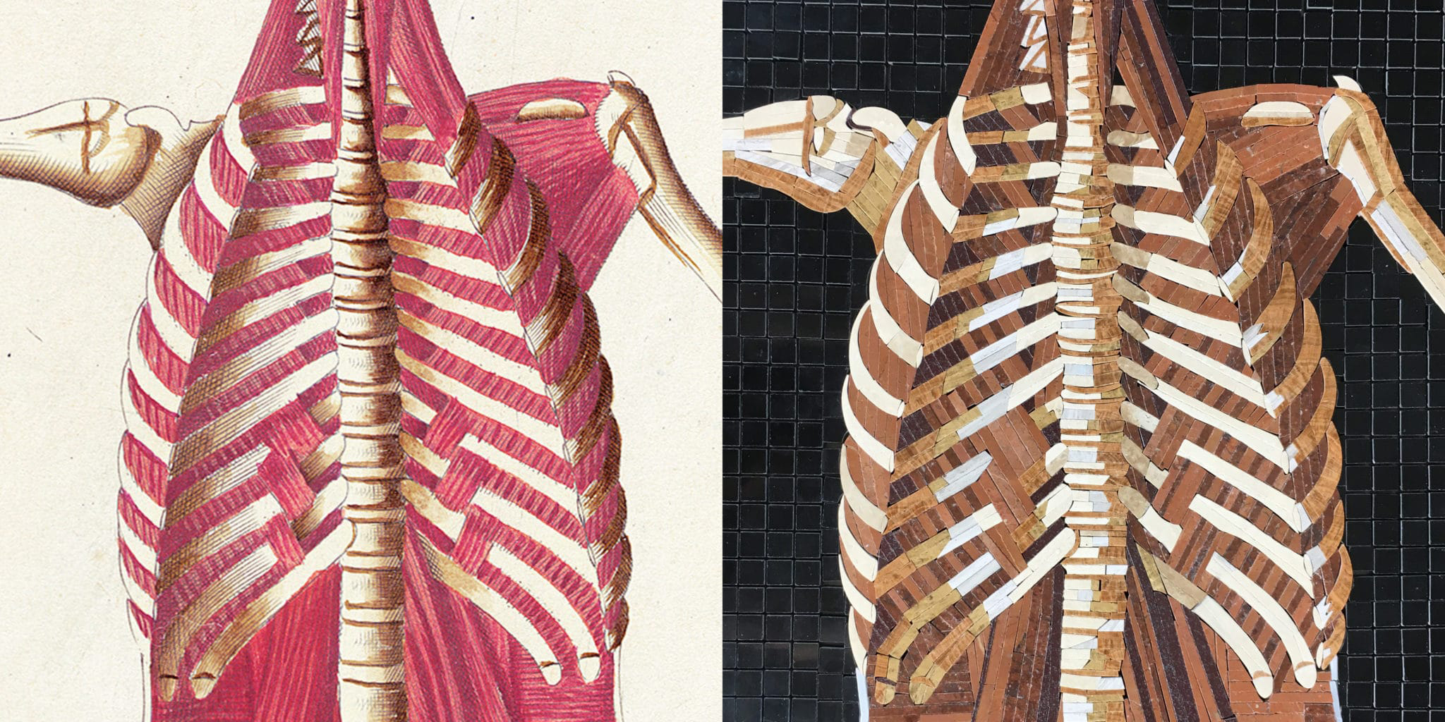 Table 38 of Eustachi's Tabulae anatomicae, 1552, beside the marble mosaic translation by Rachael Que Vargas, 2019